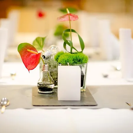 酒店 日耳曼尼亚酒店