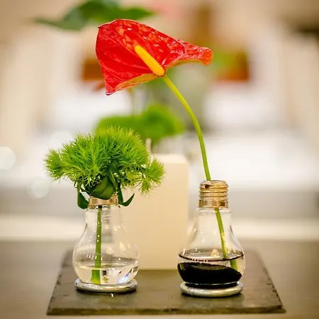 日耳曼尼亚酒店 3* 施塔特阿伦多夫